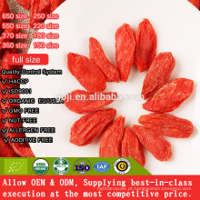 CHINÊS GOJI BERRY BOA QUALIDADE BAIXA DE PREÇO